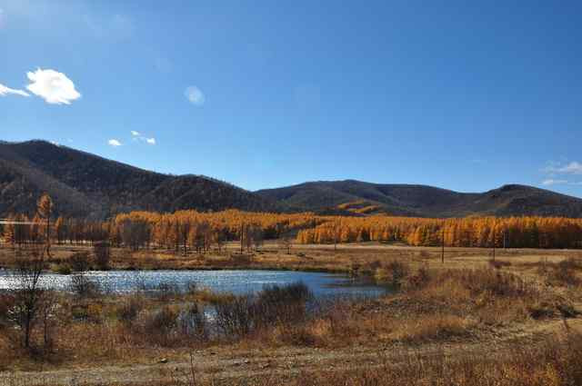 鹿鸣湖景点图片