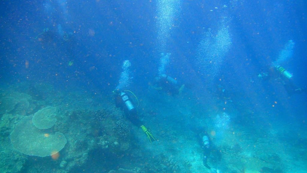 船宿潜水之旅-库布必去景点