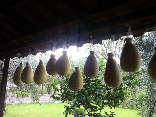 Country House La Contadina主图