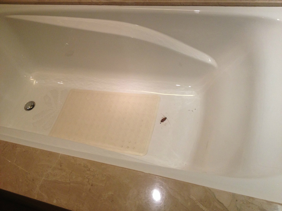 泉州迎宾馆主图