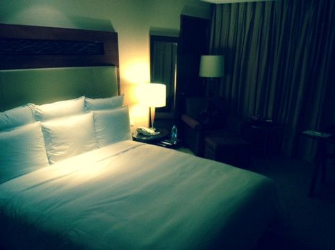 武汉光明万丽酒店主图