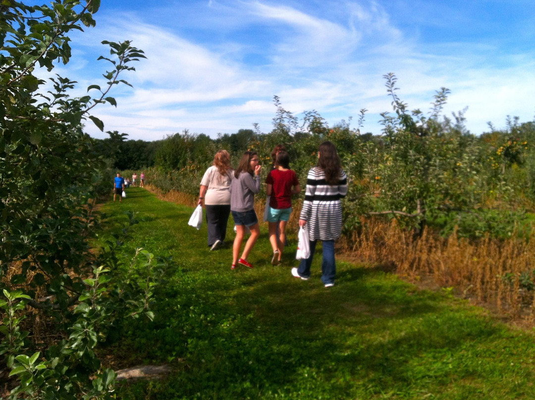 Beardsley's Cider Mill & Orchard-谢尔顿必去景点