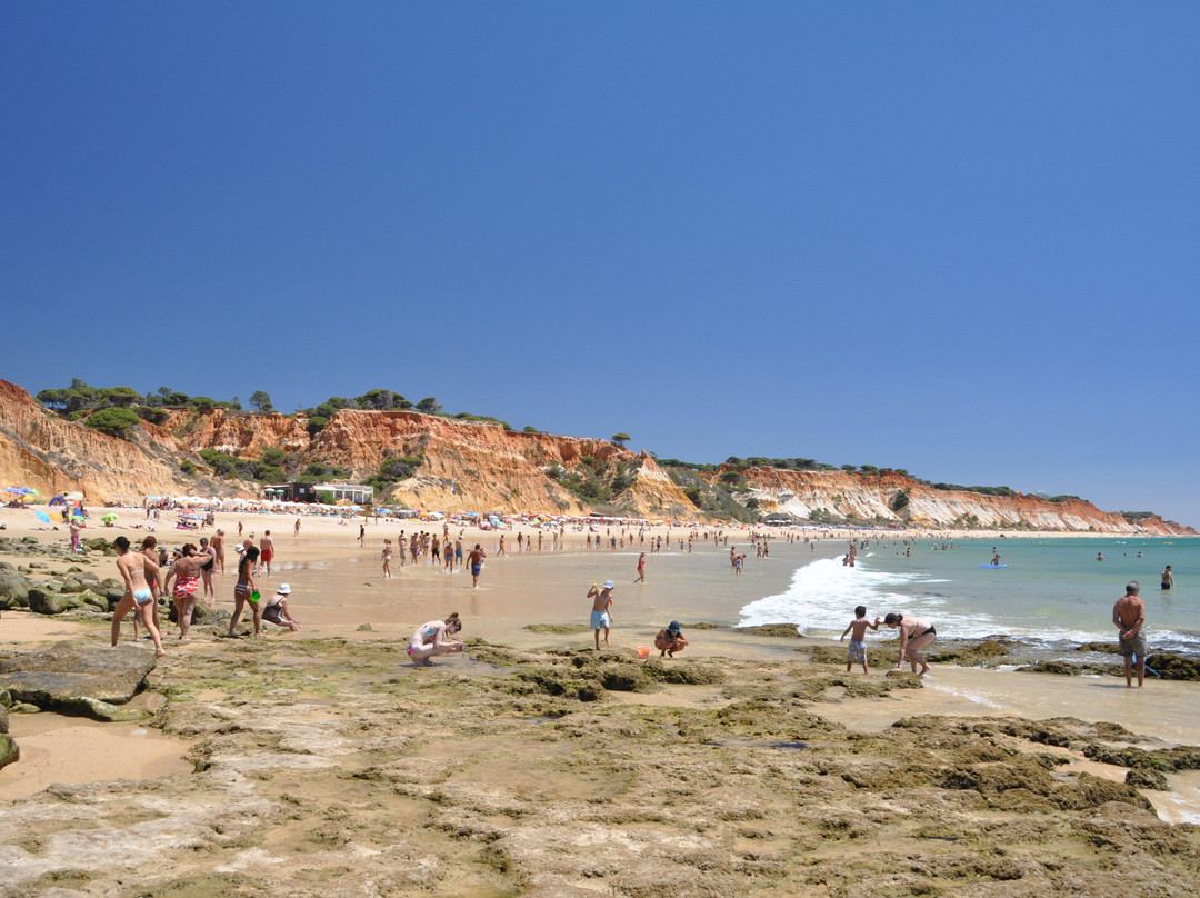 Praia da Falésia景点图片