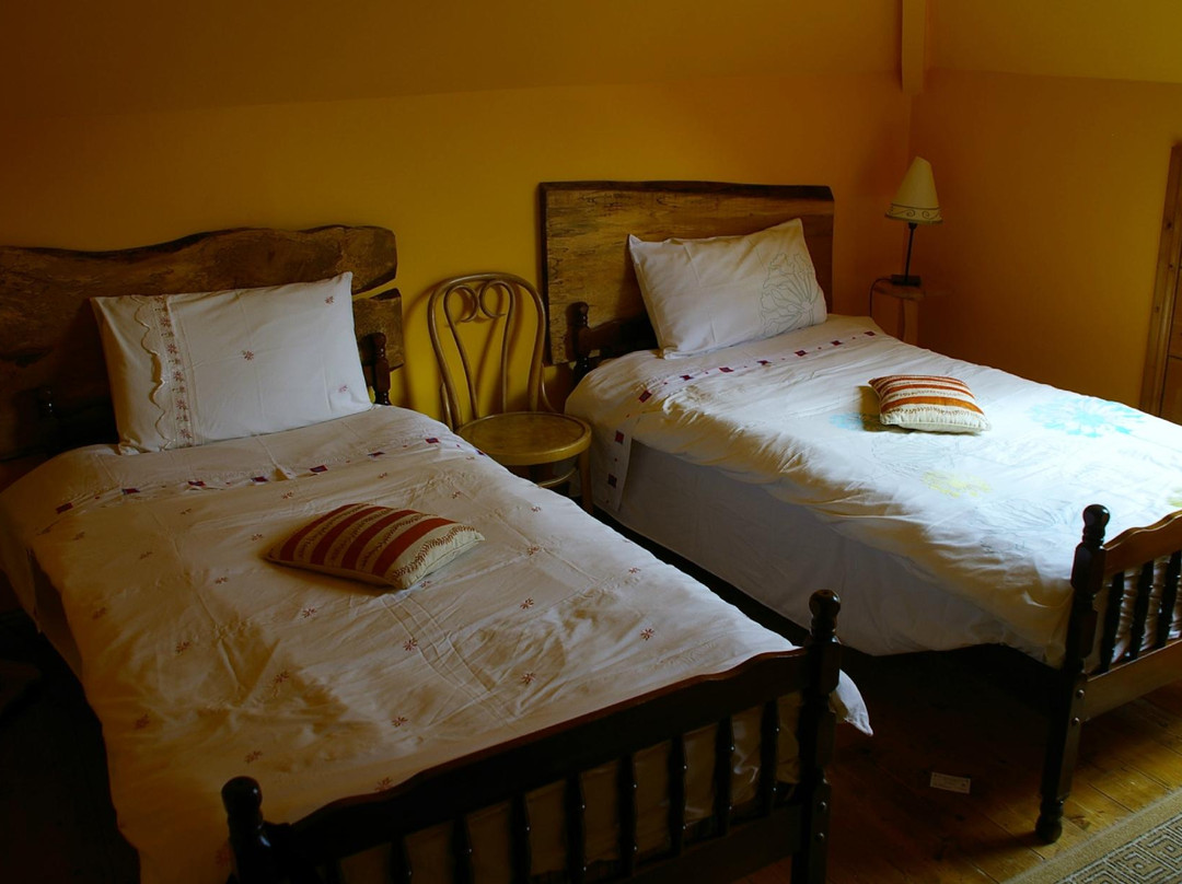 Aurora House Bed and Breakfast主图