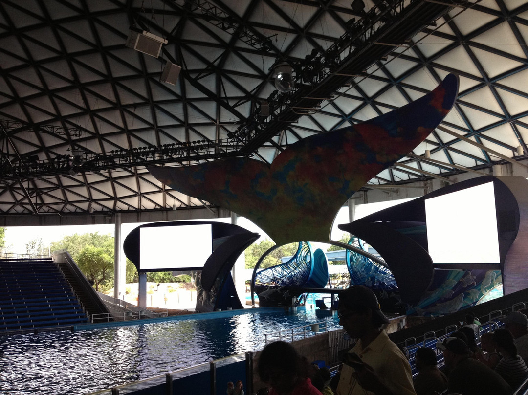 圣安东尼奥海洋世界-圣安东尼奥市必去景点