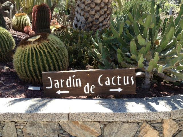 Cactualdea Park景点图片
