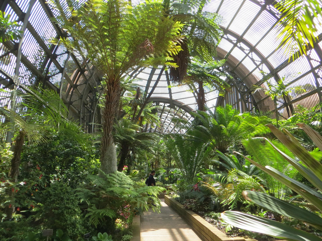 Botanical Building and Lily Pond-圣地亚哥必去景点
