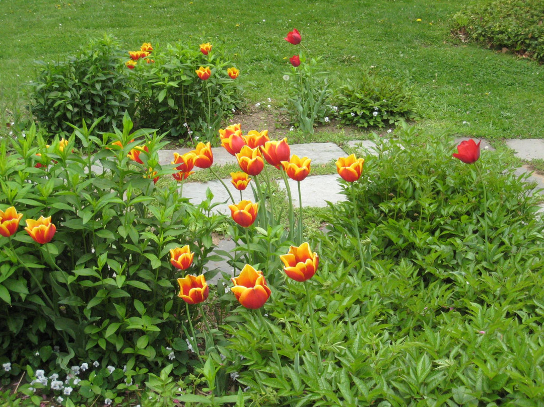 Hotchkiss-Fyler House Museum-托灵顿必去景点