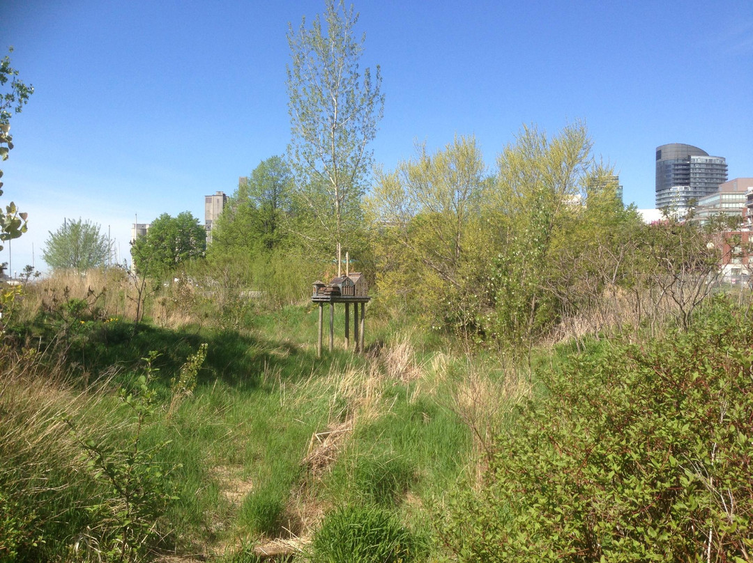多伦多港湾-多伦多必去景点