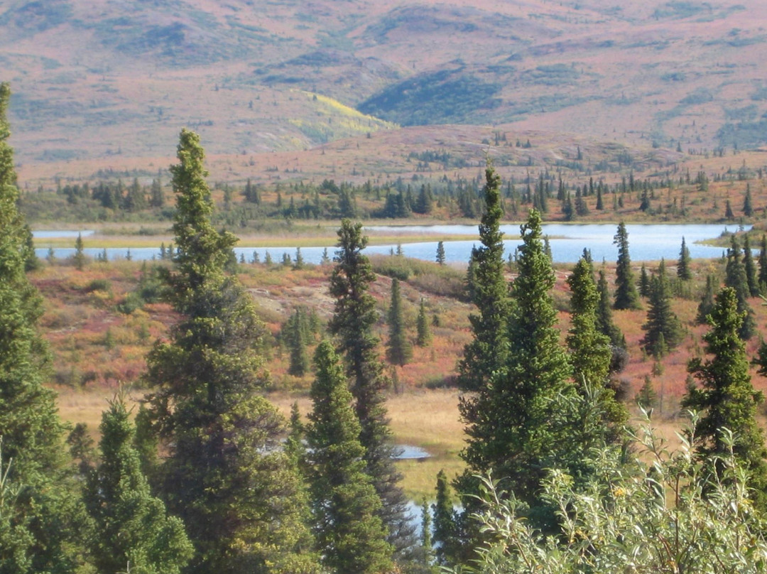 阿拉斯加野生景观之旅-北极必去景点