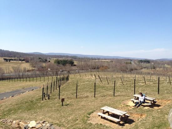 The Cottage At Barrel Oak Winery景点图片