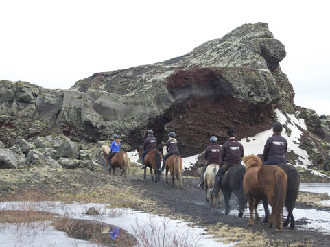 Reykjavik Riding Center-雷克雅未克必去景点