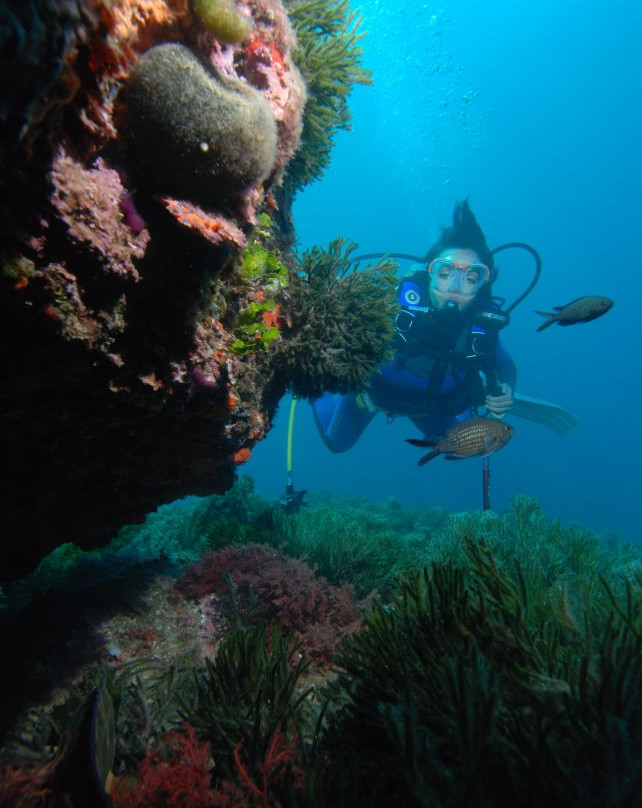 Diversub-Calonge必去景点