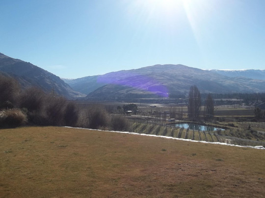 Gate 20 Two Vineyard-克伦威尔镇必去景点