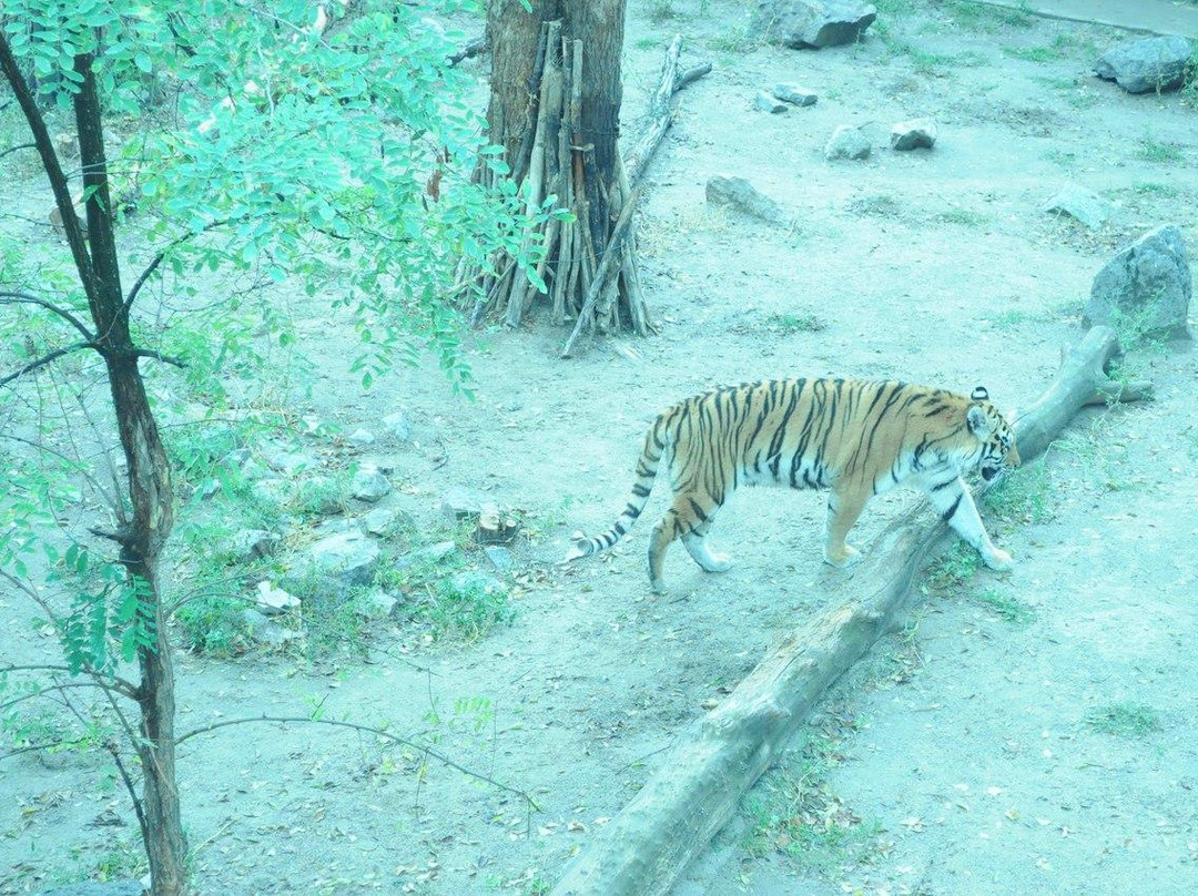 Nikolaev Zoo-Mykolaiv必去景点