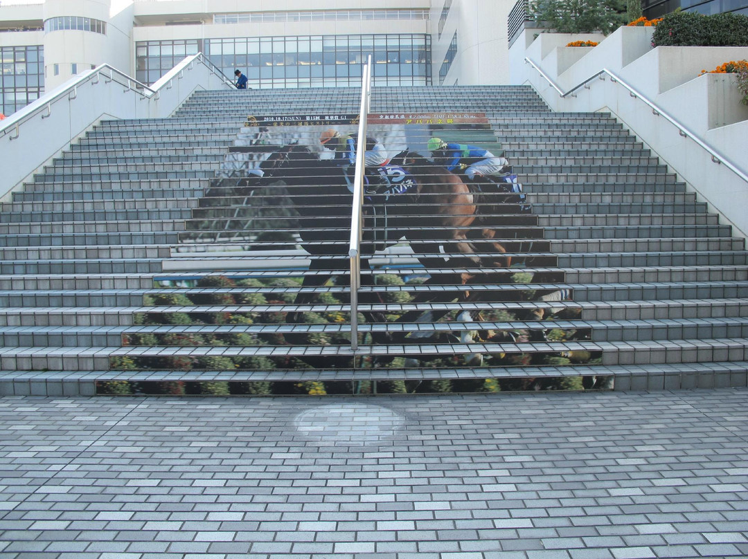 Kyoto Racecourse-京都市必去景点