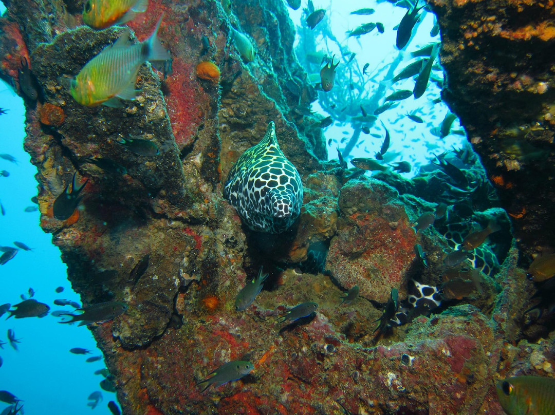 Thailand Dive and Sail-拉克山必去景点