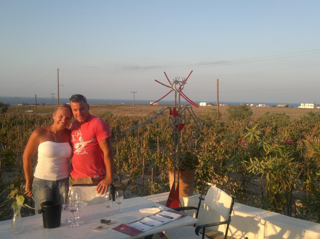 Wine in Santorini Exclusive wine tour & tasting-圣托里尼必去景点