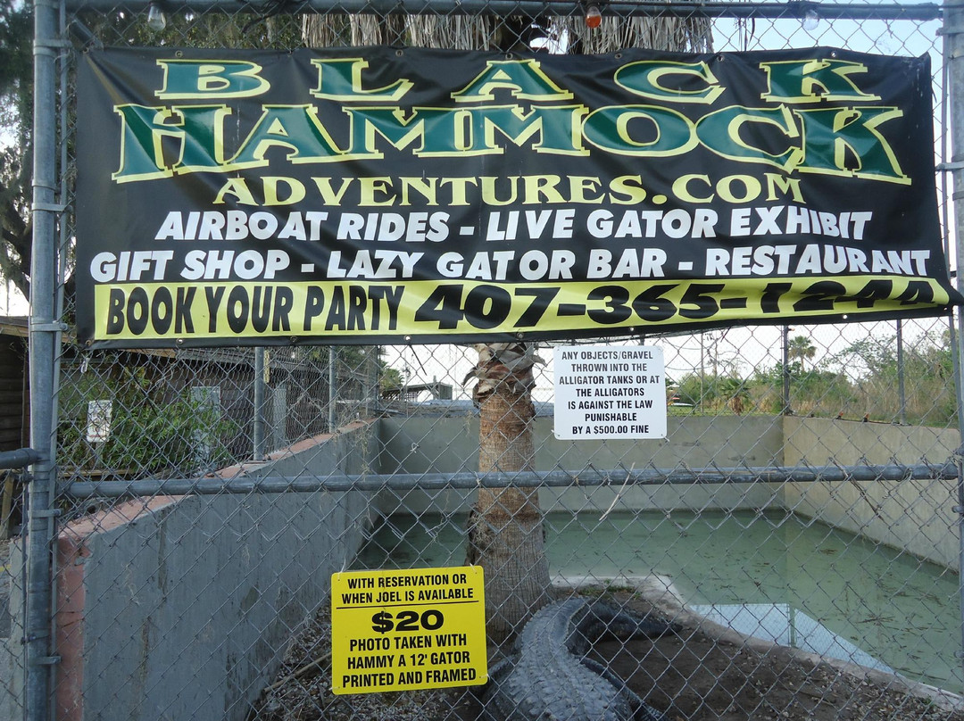 Lake Jesup-桑福德必去景点