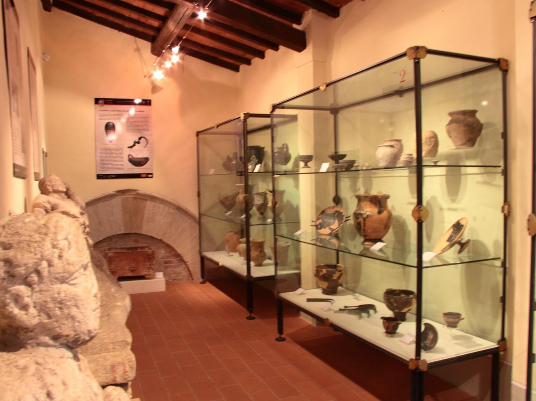 Museo Civico Archeologico e della Collegiata景点图片