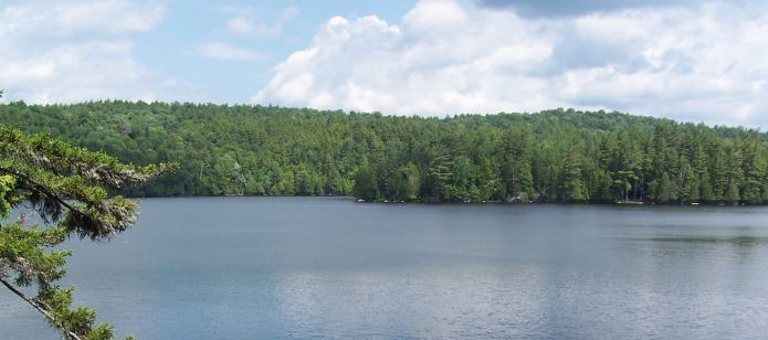 Cochran's Cabins