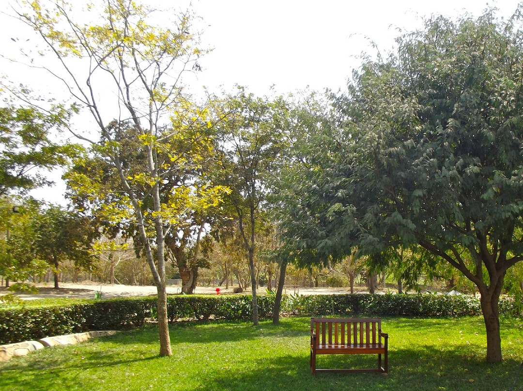 Mponela酒店住宿-Ufulu Gardens