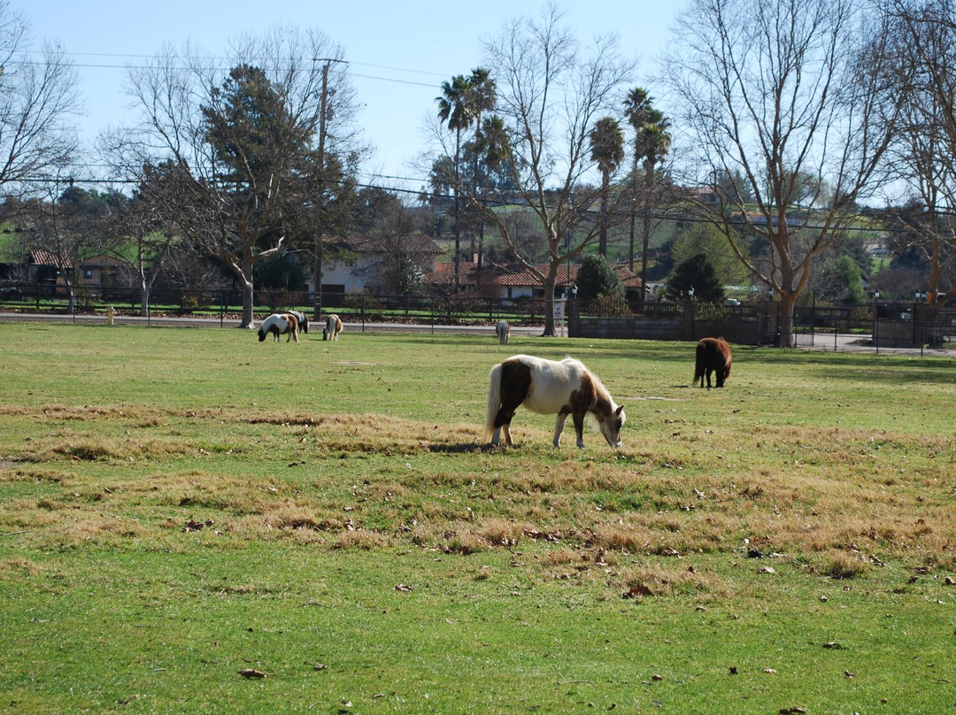 Quicksilver Ranch-索尔万必去景点