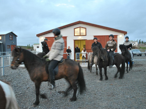 Reykjavik Riding-雷克雅未克必去景点