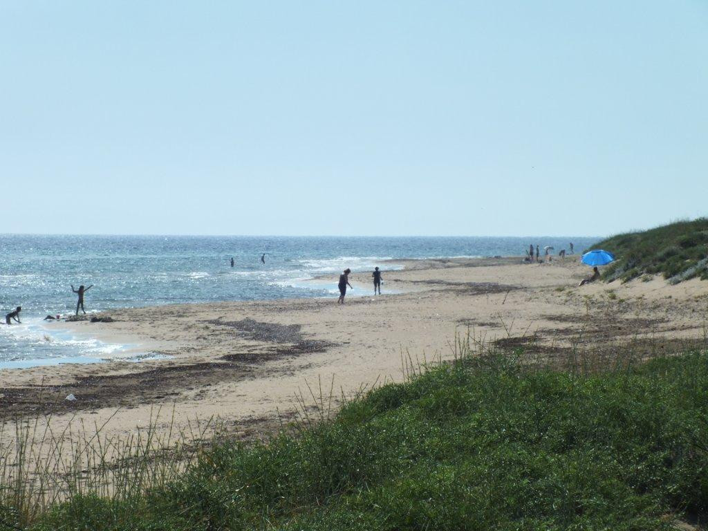 Halikounas Beach-Chalikounas必去景点