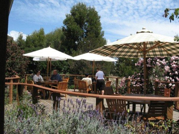 Sorell Fruit Farm-索雷尔必去景点