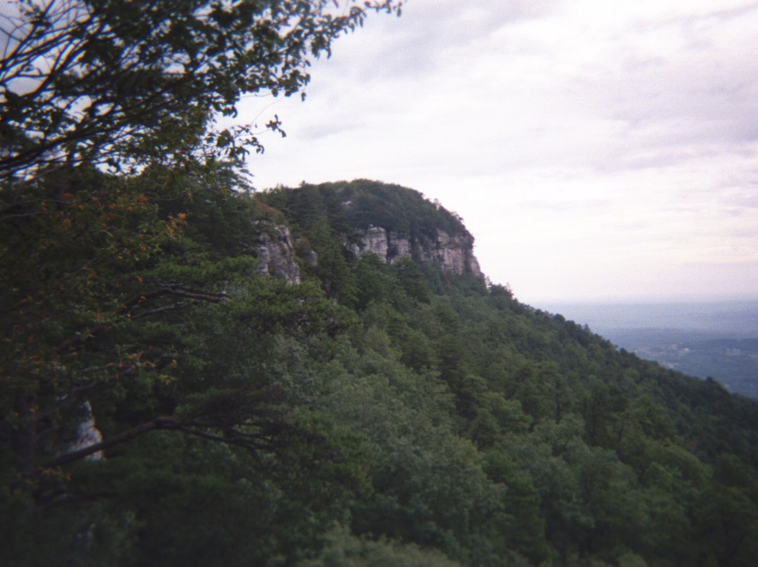 Pilot Mountain State Park景点图片