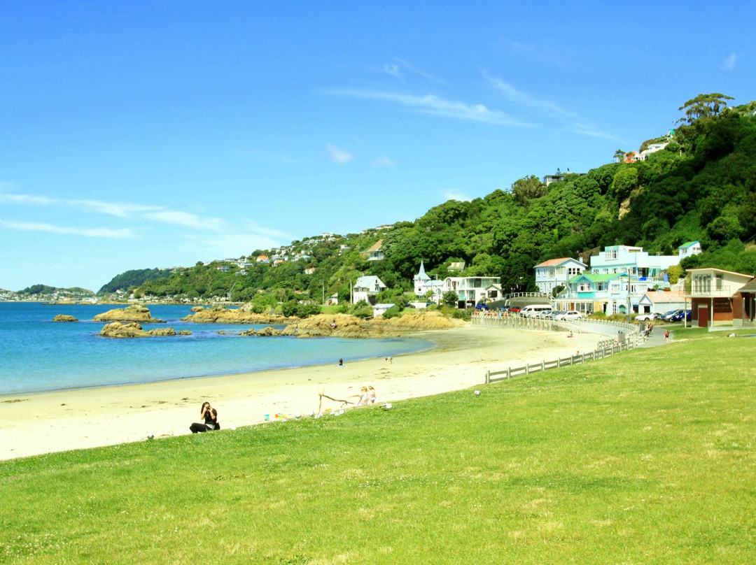 Scorching Bay-惠灵顿必去景点