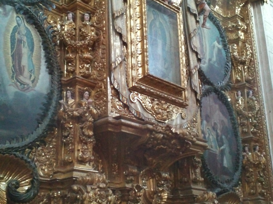 Mexico Encounter Tours Day Tours景点图片