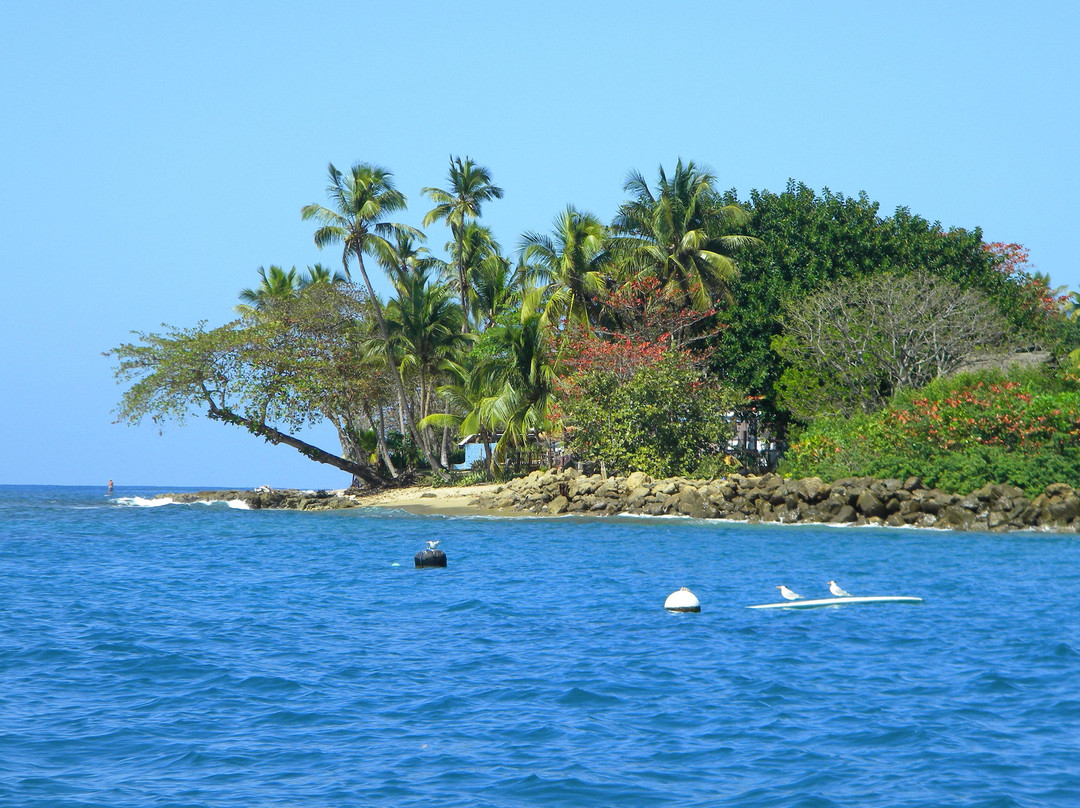 Katarina Sail Charters-吕康必去景点