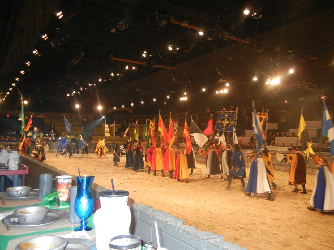 Medieval Times Dinner & Tournament-达拉斯必去景点