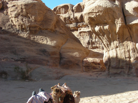 Jordan Tracks-Wadi Rum Village必去景点