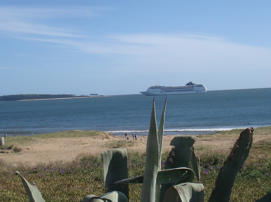 Playa Mansa-埃斯特角城必去景点