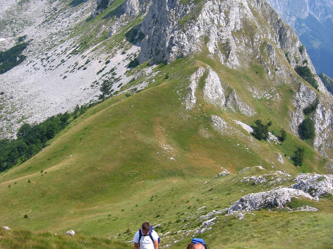 Green Visions-萨拉热窝必去景点