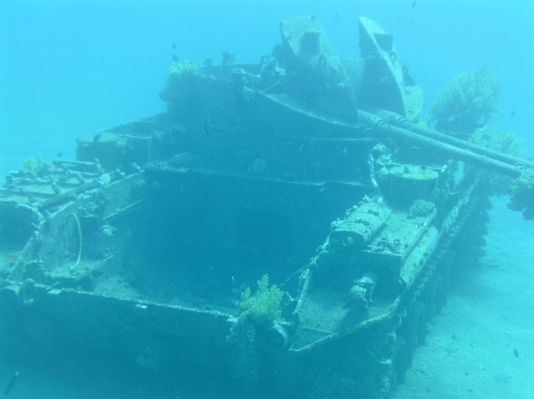 Ahlan Aqaba Scuba Diving Center景点图片
