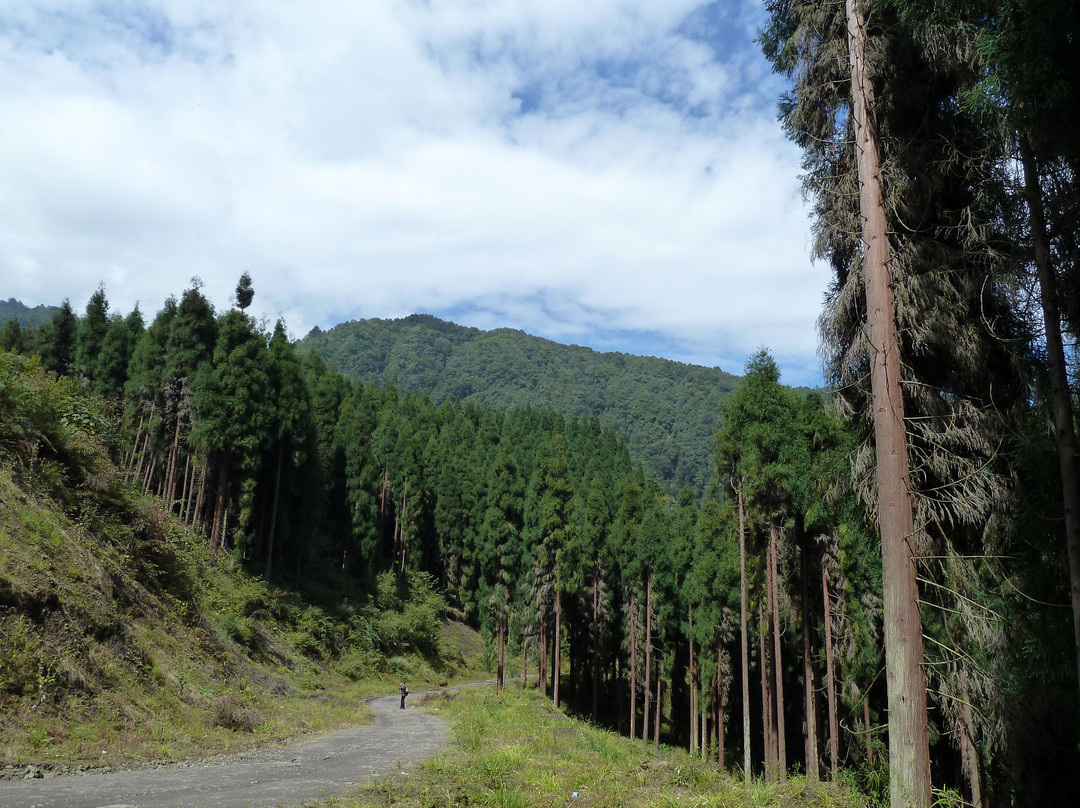 鸡冠山-崇州市必去景点