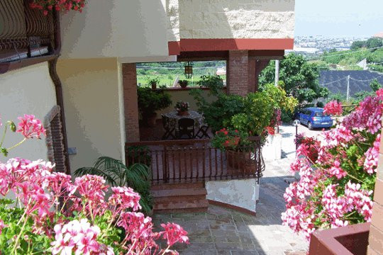 Pensione Gli Ulivi主图