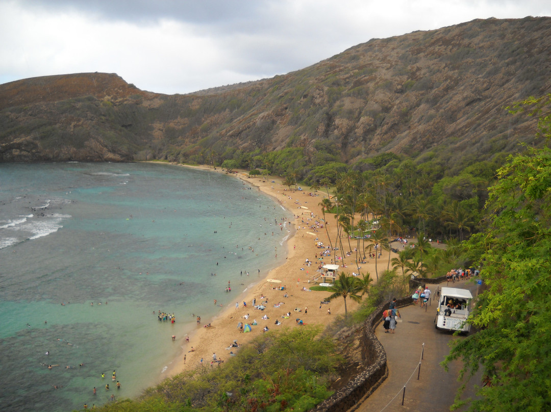 Polynesian Adventure Tours-夏威夷大岛必去景点