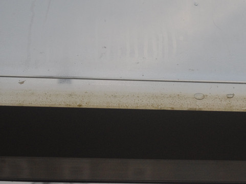 鸽子花国际酒店主图