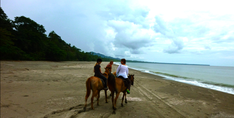 Caribe Horse Riding Club景点图片