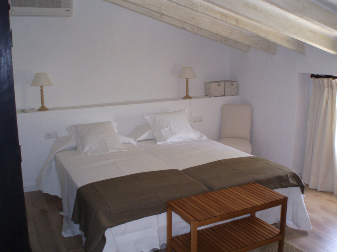 El Pi del Senyoret主图