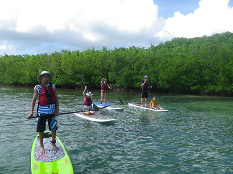 Vieques Paddleboarding-维切克岛必去景点
