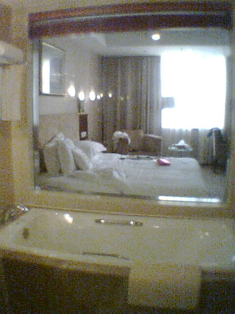 君逸康年大酒店主图