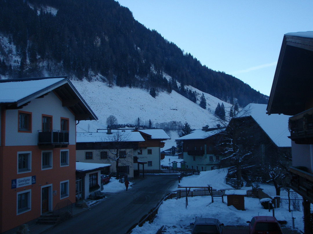 Gasthof Alpenrose主图