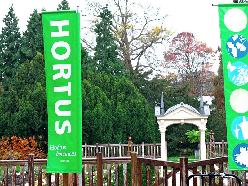 Hortus Botanicus Leiden景点图片
