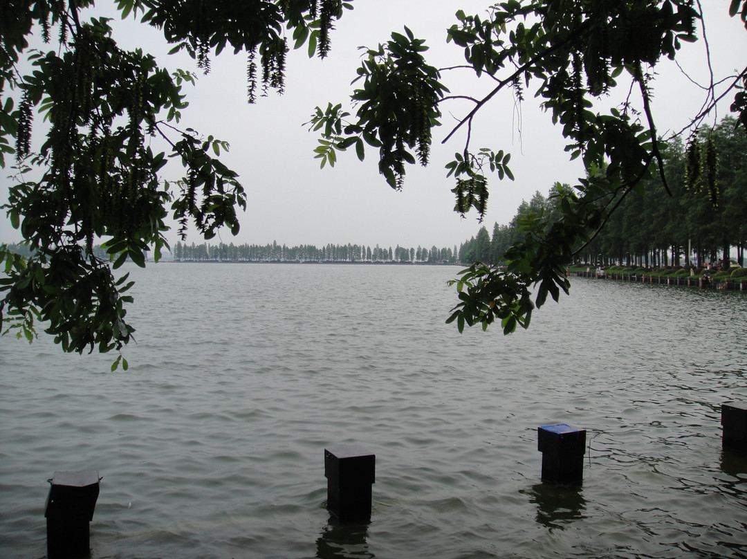 东湖国家公园-武汉市必去景点
